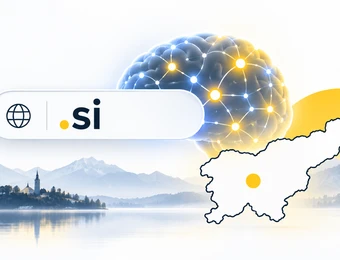 Stilisierte Grafik: Gehirn-Netzwerk-Kugel, Banner mit Globus-Icon und .si, Kartenausschnitt mit gelbem Punkt, See und Berge.