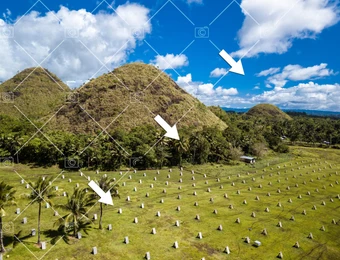 Grünes Feld mit kegelförmigen Hügeln, Palmen am Rand; blauer Himmel mit Wolken; weiße Marker in regelmäßigem Muster.