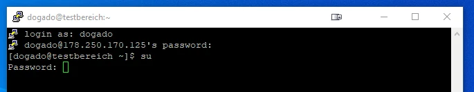 Schwarzes Terminalfenster mit SSH-Login: 'login as: dogado' und 'Password:', danach 'dogado@testbereich:~$'.