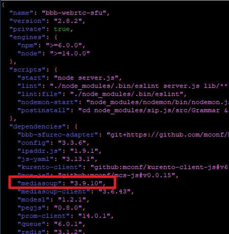 Code-Editor mit JSON-Abhängigkeiten; rote Umrandung um die Zeile mediasoup: '3.9.10'.