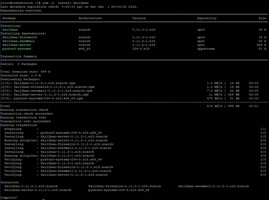 Schwarzes Terminal mit Installationsausgabe: Liste von fail2ban-Paketen und Transaktionsübersicht.