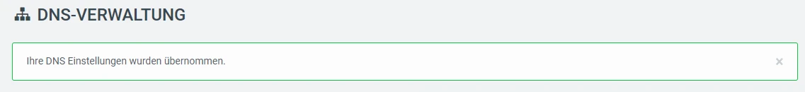 Screenshot einer DNS-Verwaltung mit Meldung: ihre DNS Einstellungen wurden übernommen.