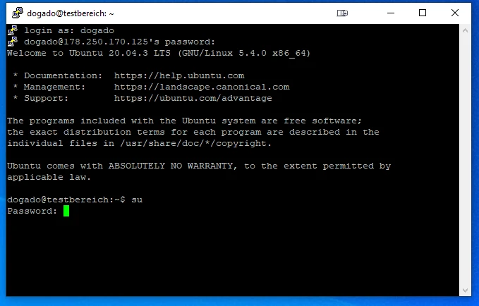 Schwarzes Terminalfenster mit weißem Text; Ubuntu-Login, Willkommensinfos und der Prompt dogado@testbereich:~$