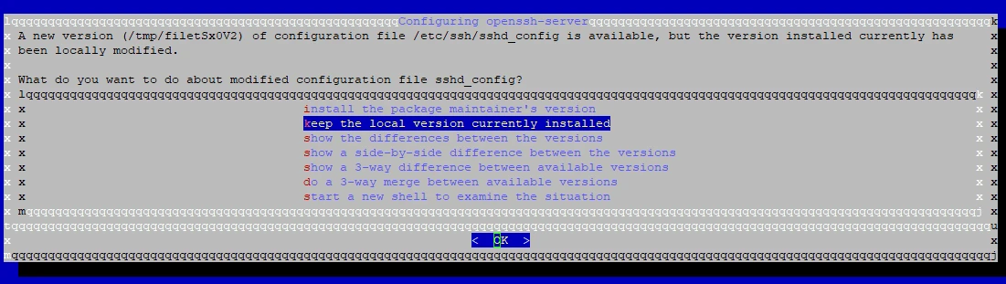 Terminalfenster mit ASCII-Dialog: Hinweis auf neue Version einer Konfigurationsdatei und Auswahloptionen.