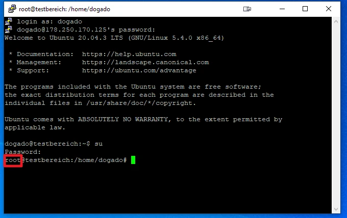 Windows-Terminal zeigt Ubuntu-Willkommensnachricht und Root-Prompt: root@testbereich:/home/dogado#, grüner Cursor.