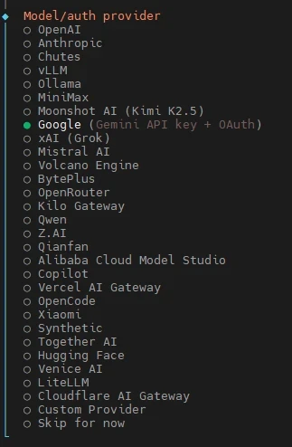 Terminal-Liste von Modell-/Provider-Optionen; Google (Gemini API key + OAuth) ist ausgewählt.