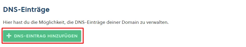 Screenshot einer DNS-Verwaltungsseite mit Überschrift DNS-Einträge, Hinweistext und grünem Button '+ DNS-EINTRAG HINZUFÜGEN'.
