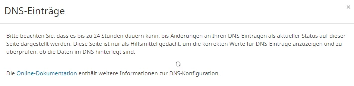 Screenshot einer Webseite mit der Überschrift 'DNS-Einträge' und erklärendem Fließtext zu DNS-Einträgen.