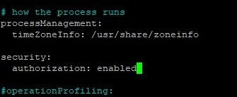 Schwarzes Terminal mit mehrzeiliger Ausgabe: '# how the process runs' und 'authorization: enabled' sowie grünes Kästchen.