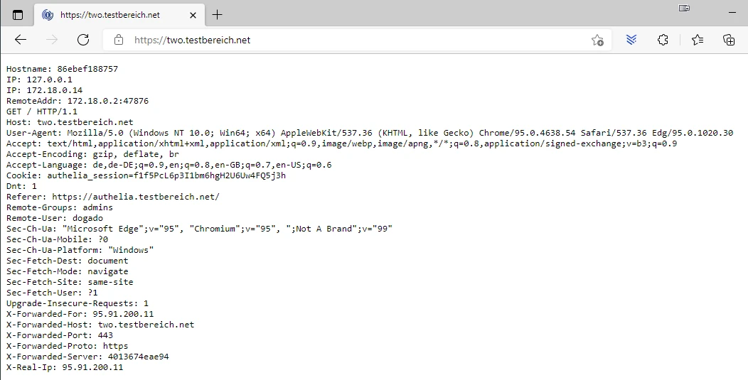 Screenshot eines Browserfensters, das HTTP-Header-Text zeigt (Host, User-Agent, Accept, etc.).