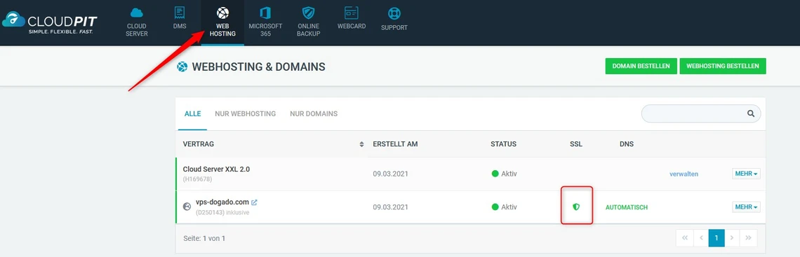 Screenshot eines CloudPIT-Dashboards: Leiste, Titel Webhosting & Domains, Tabelle mit Verträgen und grünen Statuspunkten.