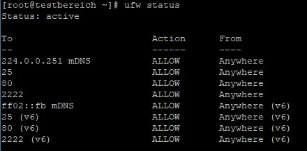 UFW-Status: aktiv. Regeln (To/From Anywhere): 224.0.0.251 mDNS, 25, 80, 2222; IPv6: ff02::fb mDNS, 25, 80, 2222 (v6).