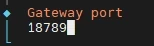 Terminalfenster mit orangefarbener Beschriftung 'Gateway port' und der Zahl 18789; blauer Cursor am linken Rand.