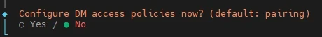 Terminal: Frage Configure DM access policies now? Optionen: leeres Kreis-Symbol vor Yes, grünes Symbol vor No.