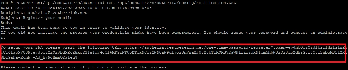 Terminalfenster mit weißem Text auf schwarzem Hintergrund; Meldung zur Validierung der Identität, inklusive Link.