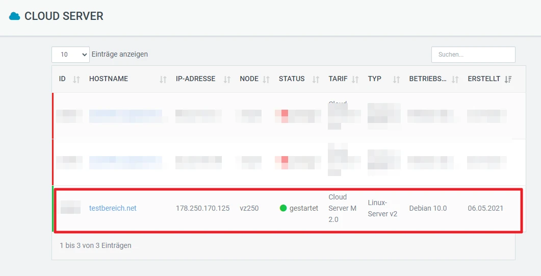 Hervorgehobene Zeile in Cloud-Server-Liste: Domainname, IP 178.250.170.125, Status gestartet, Linux-Server Debian 10.