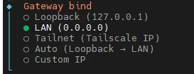 Screenshot eines Terminalmenüs: Gateway bind, Loopback 127.0.0.1; LAN 0.0.0.0; Tailnet IP; Auto, Custom IP.