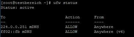 Terminal: ufw status; Status: active; To 224.0.0.251 mDNS; ALLOW; From Anywhere; To ff02::fb mDNS; ALLOW; From Anywhere (v6)
