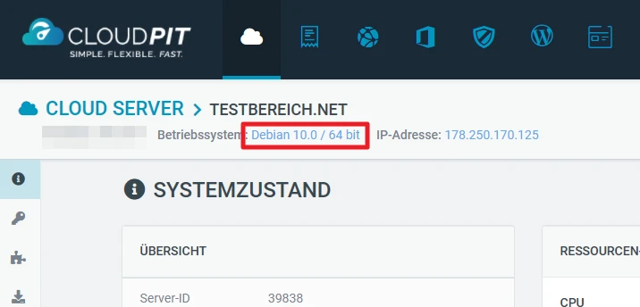 Cloud-Server-Oberfläche: Debian 10.0 / 64 Bit, IP 178.250.170.125, SYSTEMZUSTAND-ÜBERSICHT.
