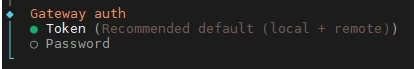 Dunkles Terminalfenster zeigt drei Einträge: Gateway auth; Token (Recommended default (local + remote)); Password.