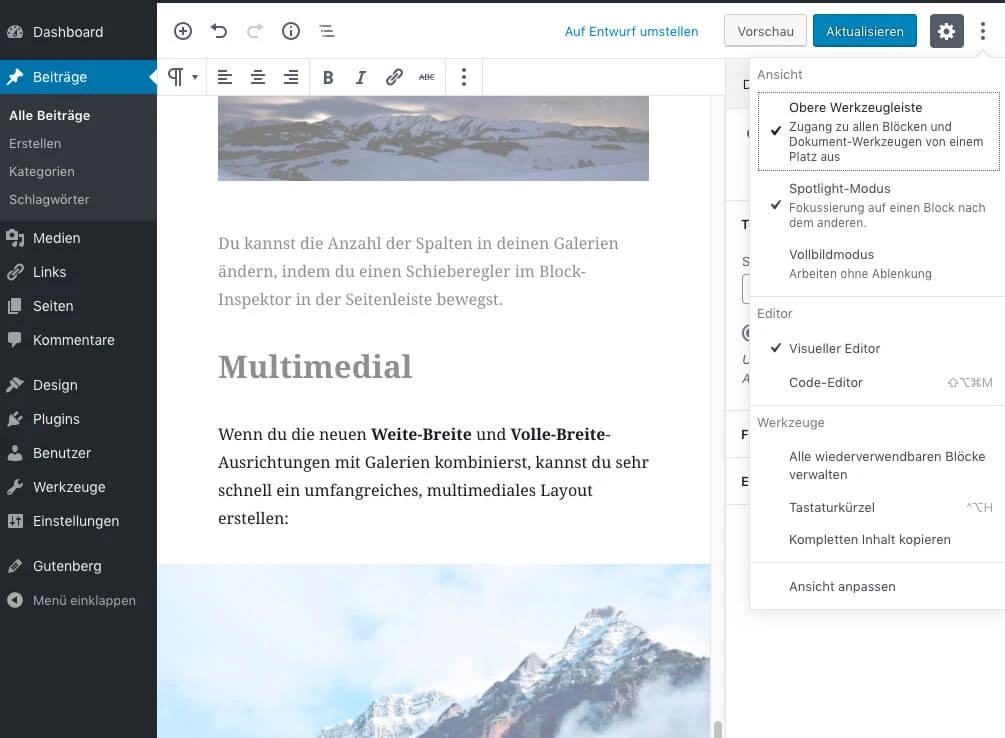 Screenshot eines WordPress-Editor-Fensters: linke Seitenleiste, Symbolleiste, Inhaltsbereich mit Multimedial, rechter Ansicht.