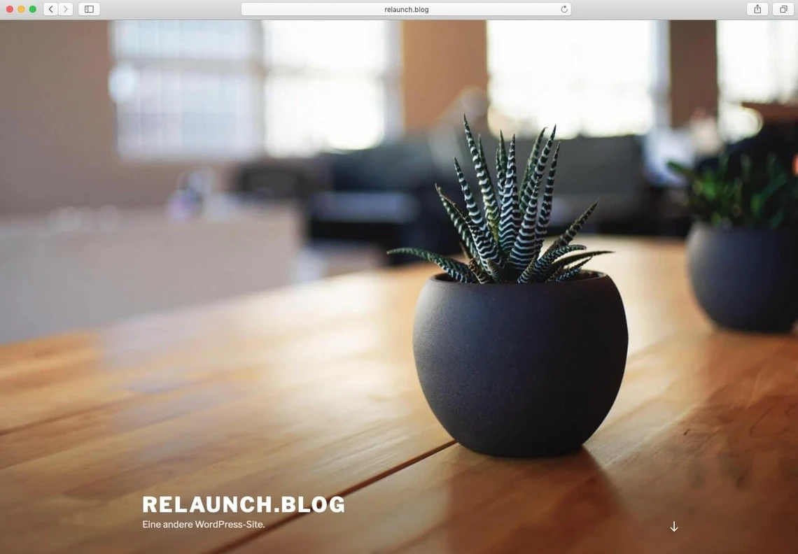 Standardtheme WordPress