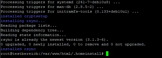 Schwarzes Terminal mit mehrzeiliger Ausgabe; System-Triggern, Paketinfos und Eingabeaufforderung root@testbereich:...