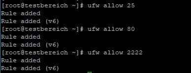 Terminalfenster zeigt Befehle: ufw allow 25, ufw allow 80, ufw allow 2222; Rule added (v6).