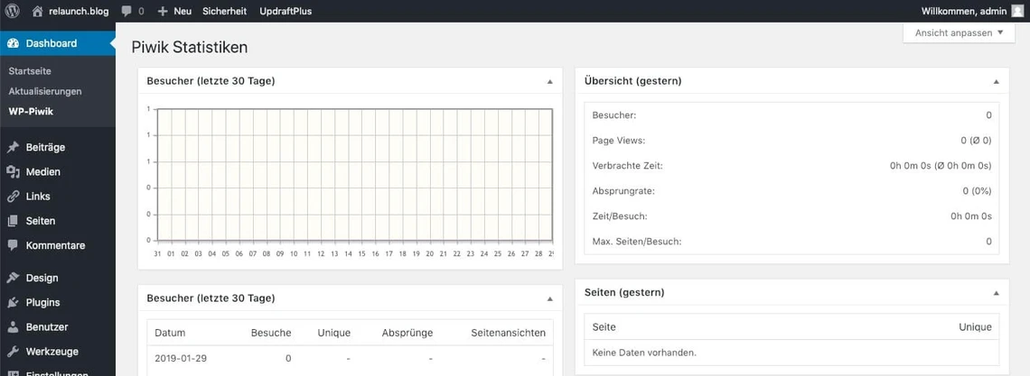 Auszug aus der Matomo Statistik in WordPress
